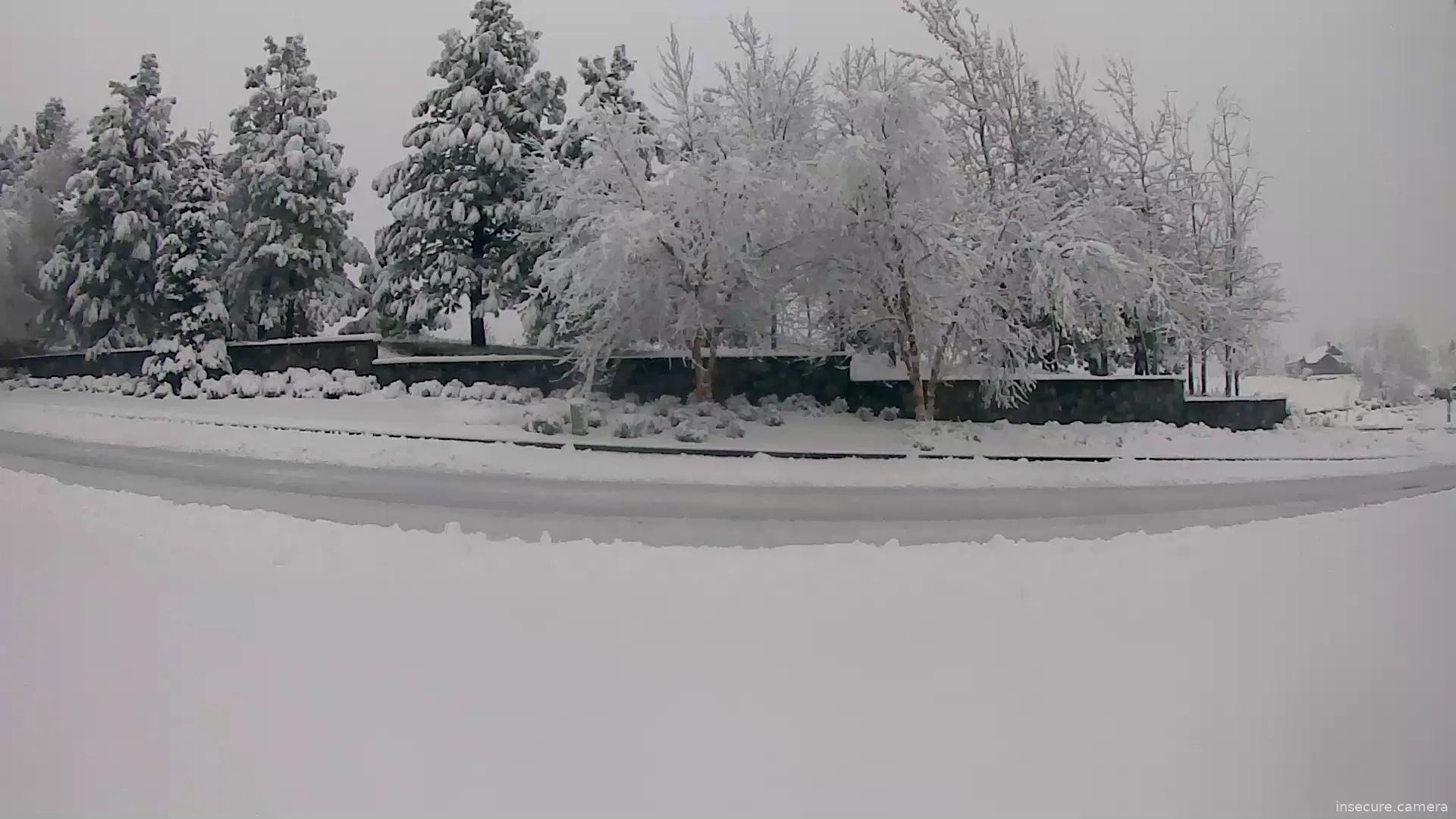 Camera in United States