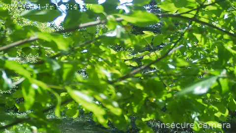 Capture from May 01, 2026 at 11:42 AM