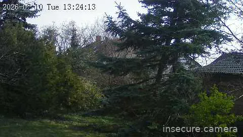 Capture from Mar 10, 2026 at 11:24 AM