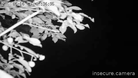 Capture from May 15, 2026 at 10:36 PM