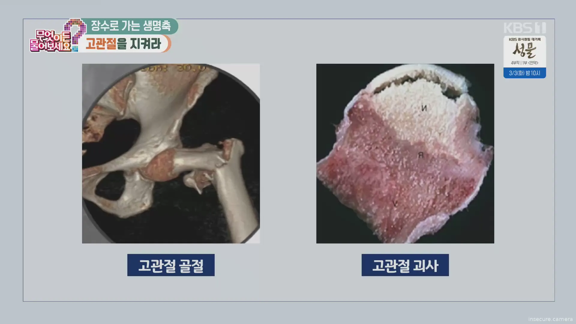 Capture from Feb 19, 2026 at 01:03 AM