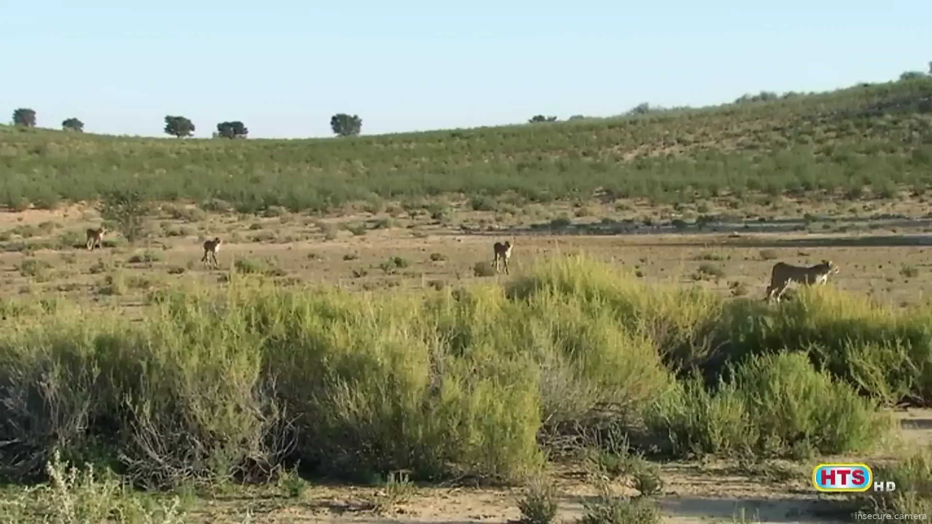 Capture from Mar 04, 2026 at 04:21 PM