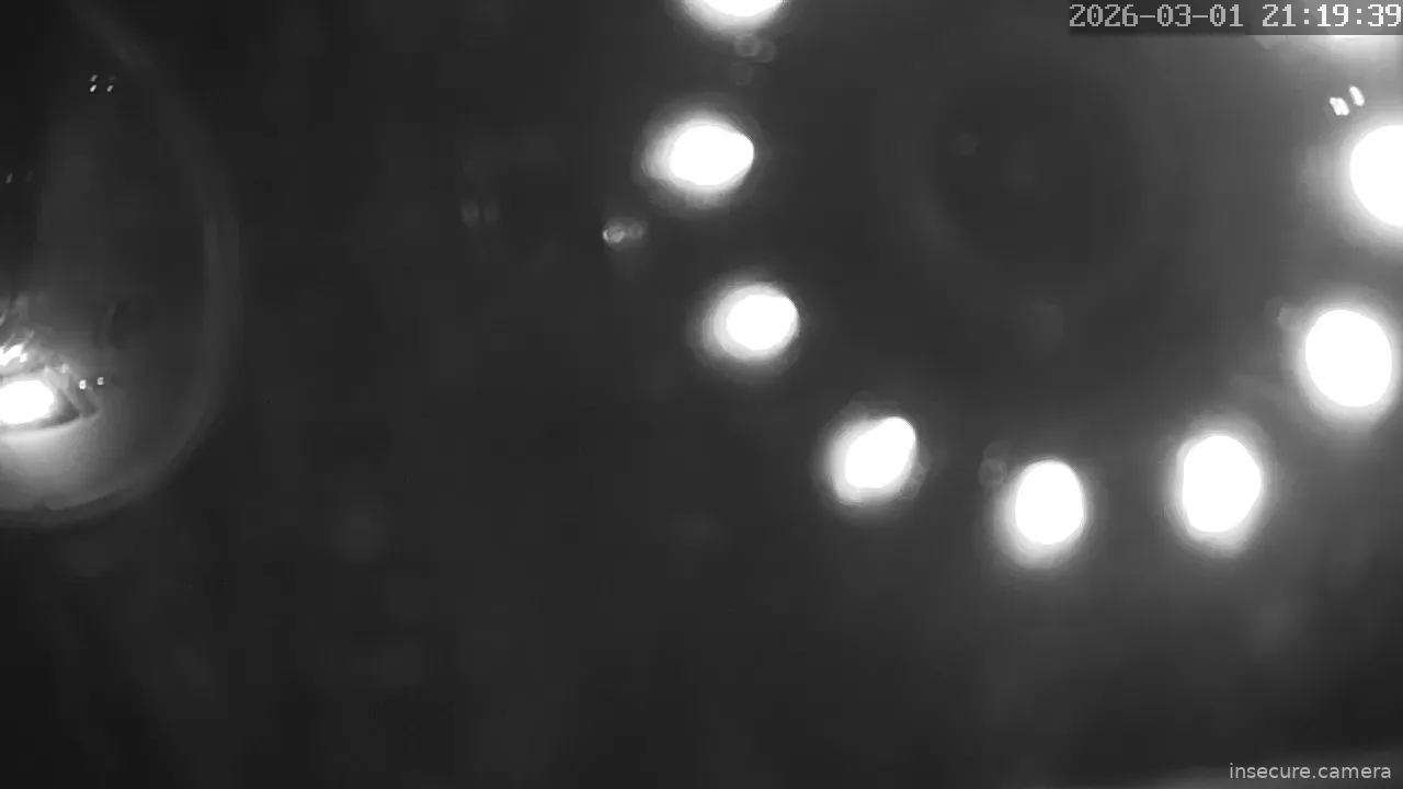 Capture from Mar 01, 2026 at 12:19 PM