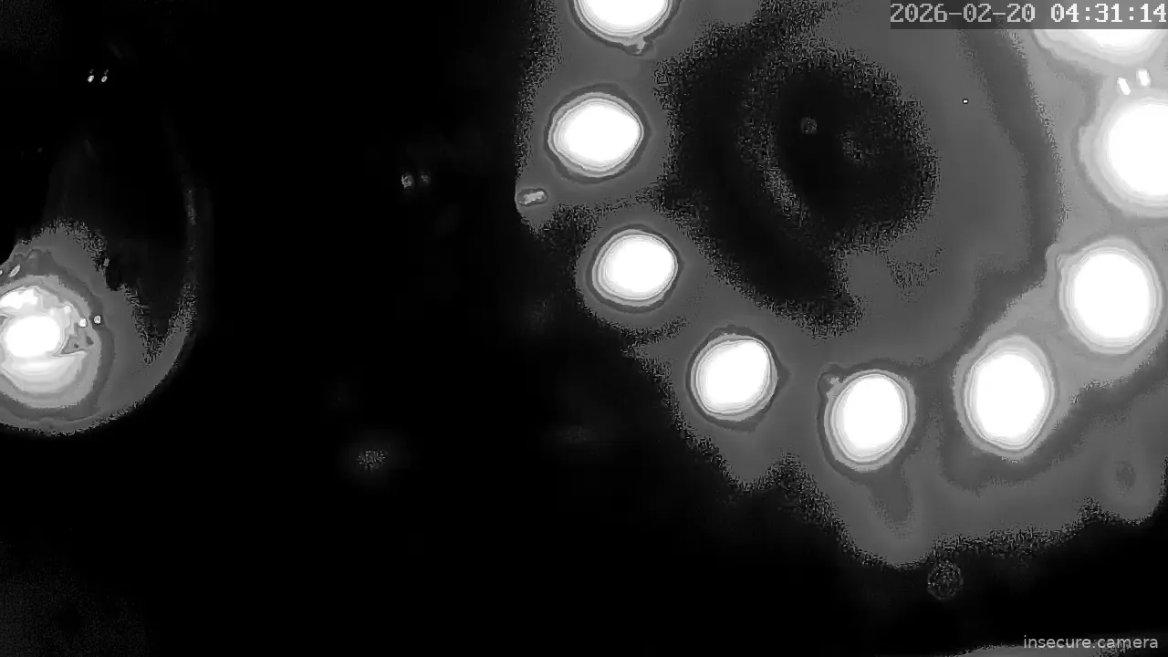 Capture from Feb 19, 2026 at 07:31 PM