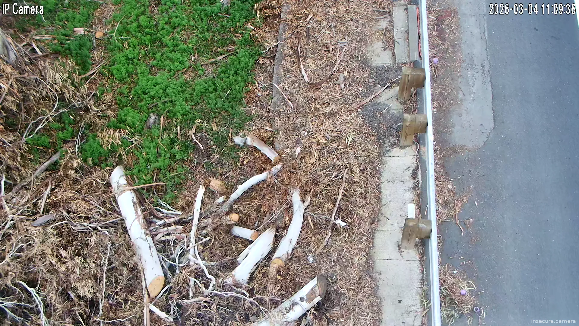 Capture from Mar 04, 2026 at 07:09 PM