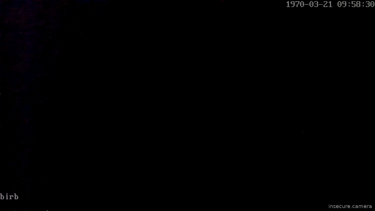 Capture from Mar 08, 2026 at 05:03 AM