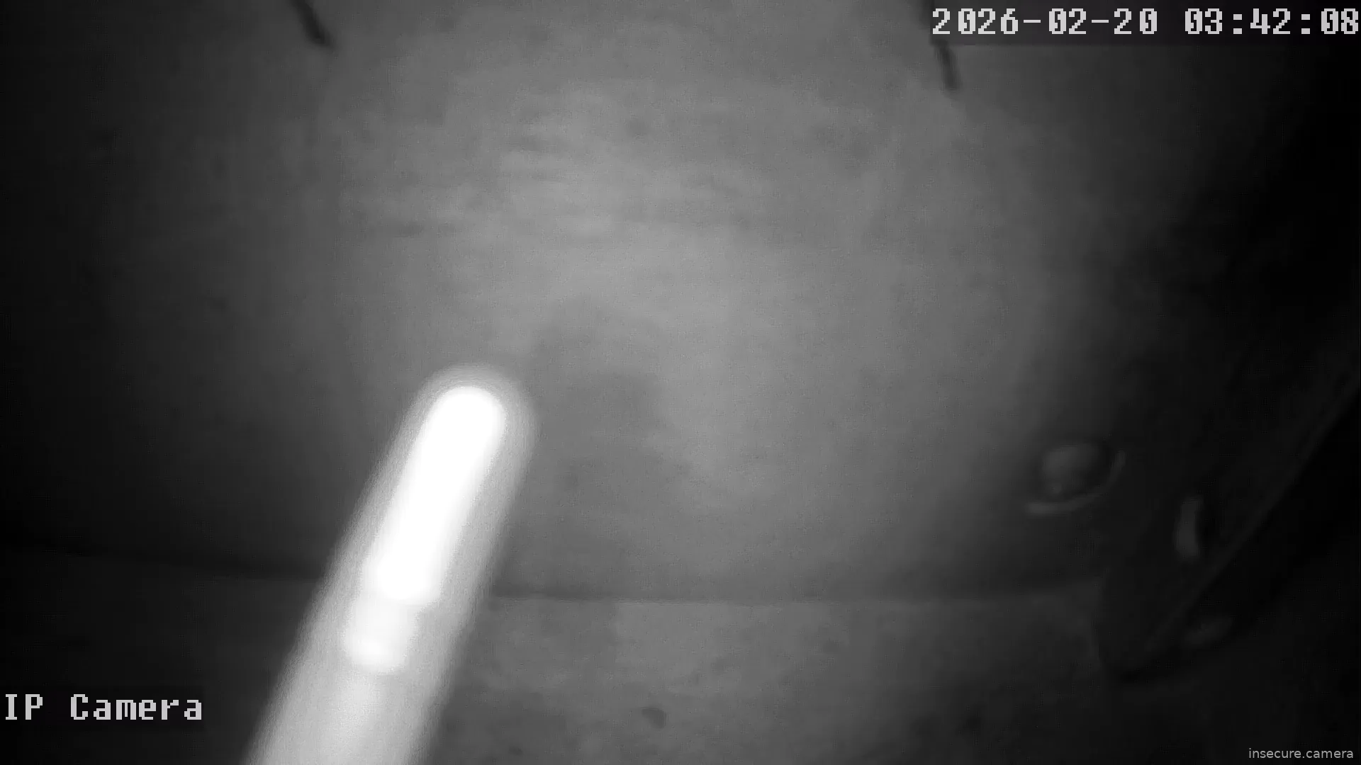 Capture from Feb 19, 2026 at 07:42 PM