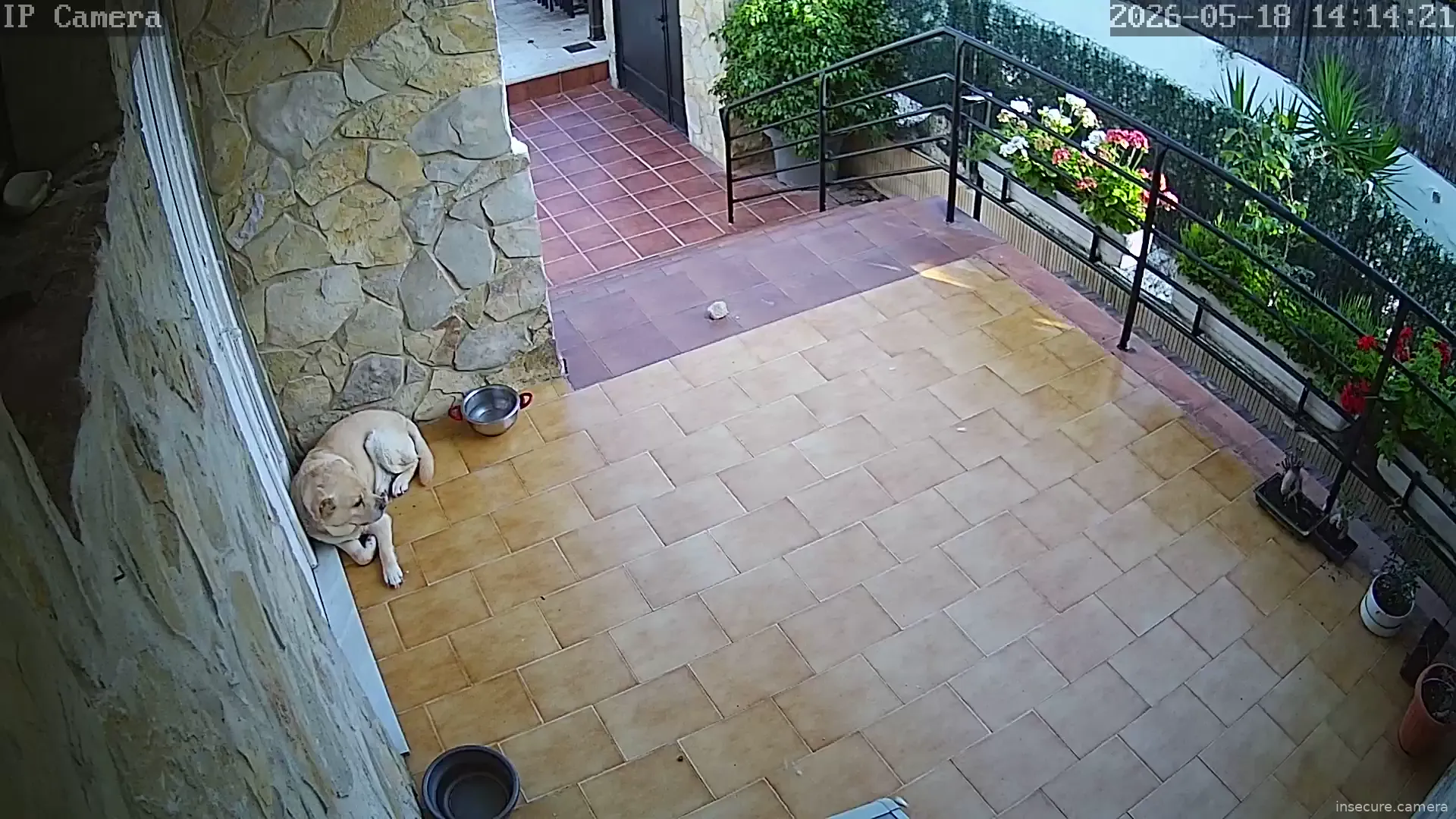 Capture from May 18, 2026 at 06:14 AM