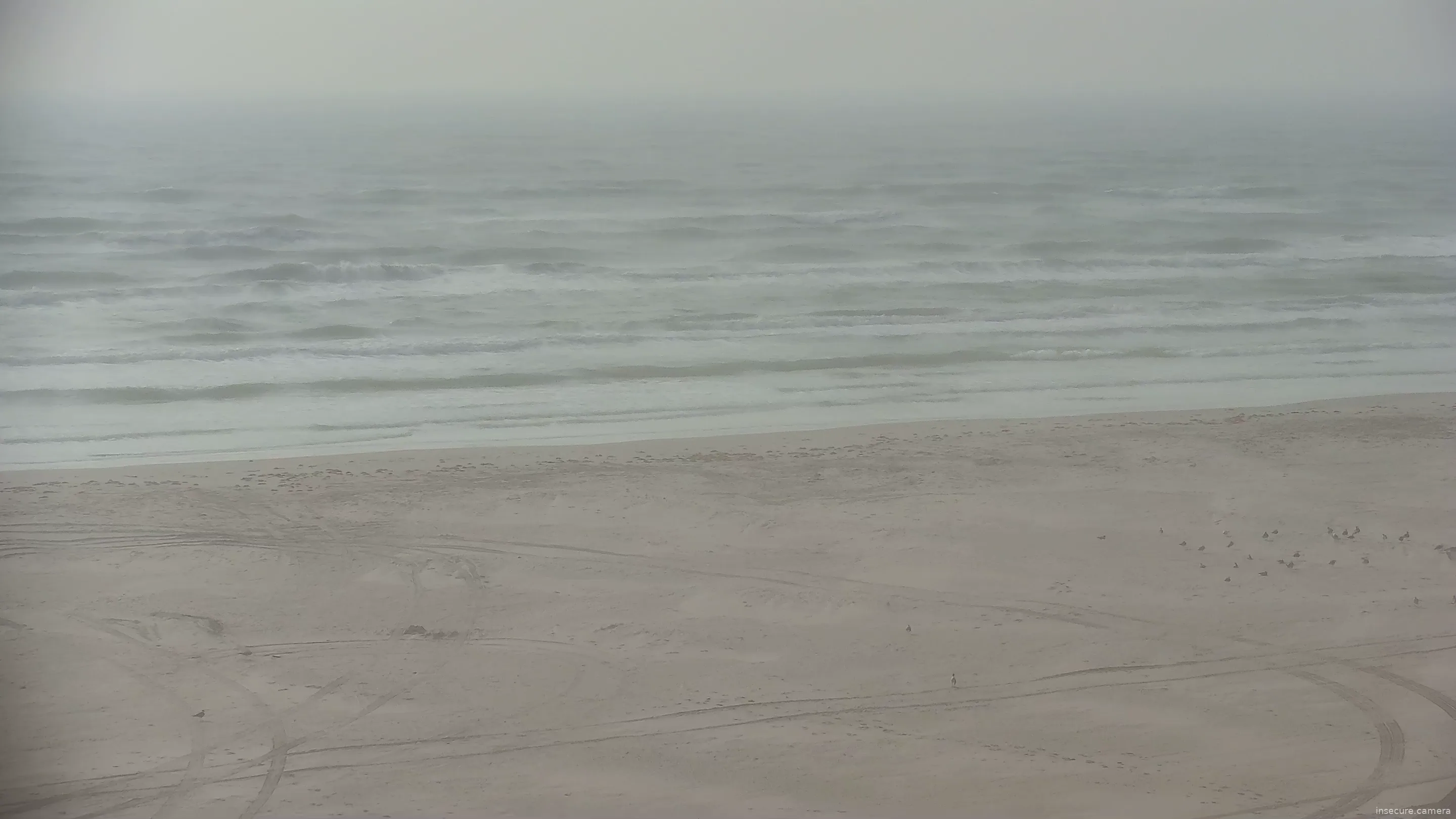 Capture from Feb 19, 2026 at 03:10 PM