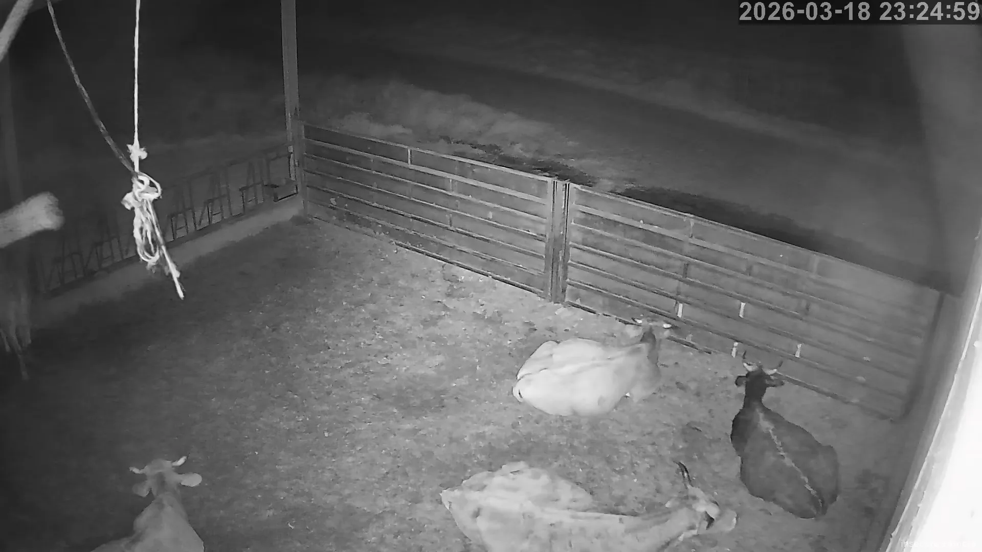 Capture from Mar 18, 2026 at 11:25 PM