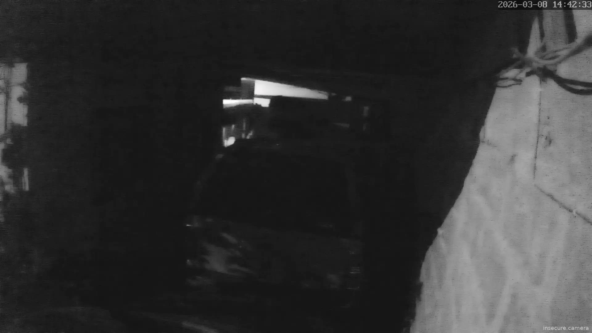 Capture from Mar 08, 2026 at 06:42 AM