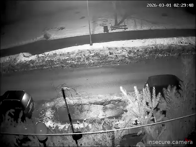 Capture from Mar 01, 2026 at 12:29 AM