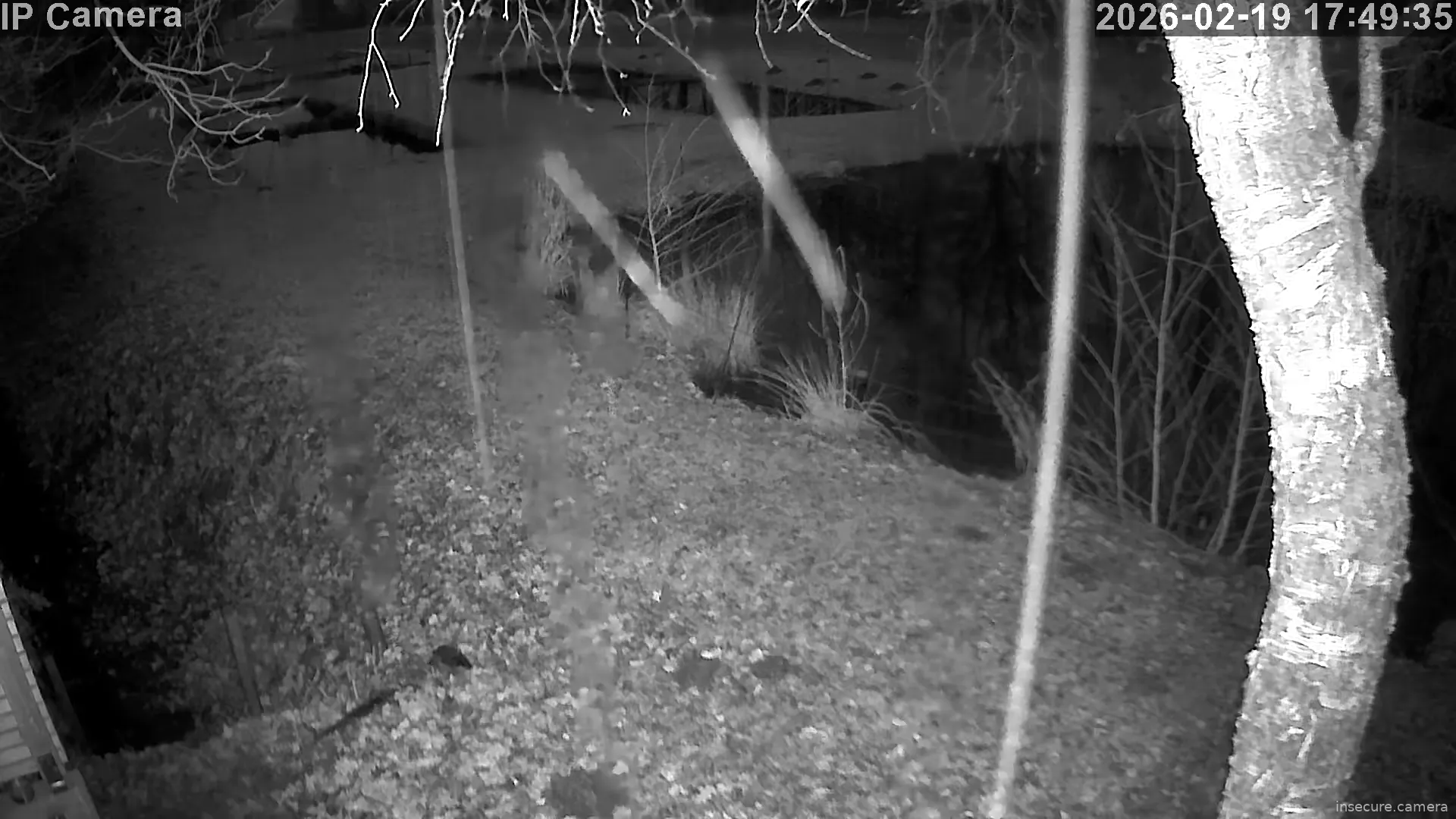 Capture from Feb 19, 2026 at 04:49 PM