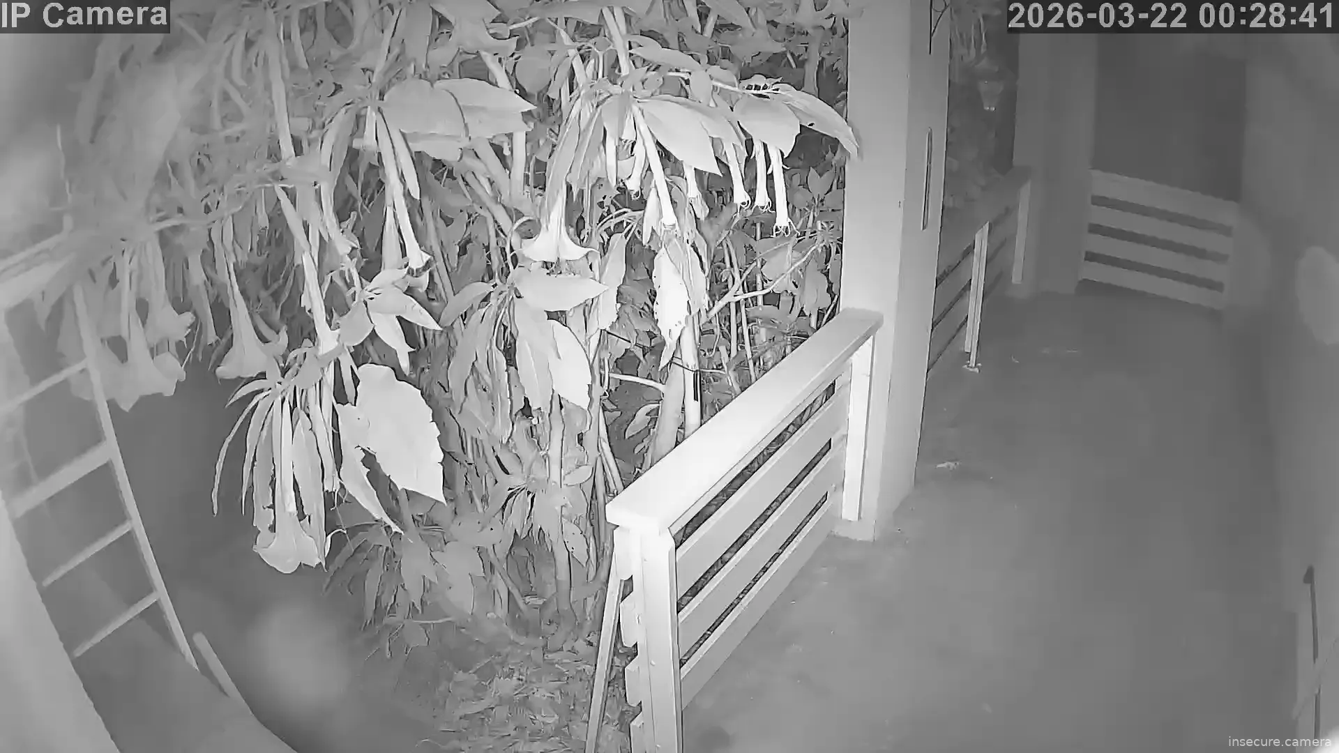 Capture from Mar 21, 2026 at 10:28 PM