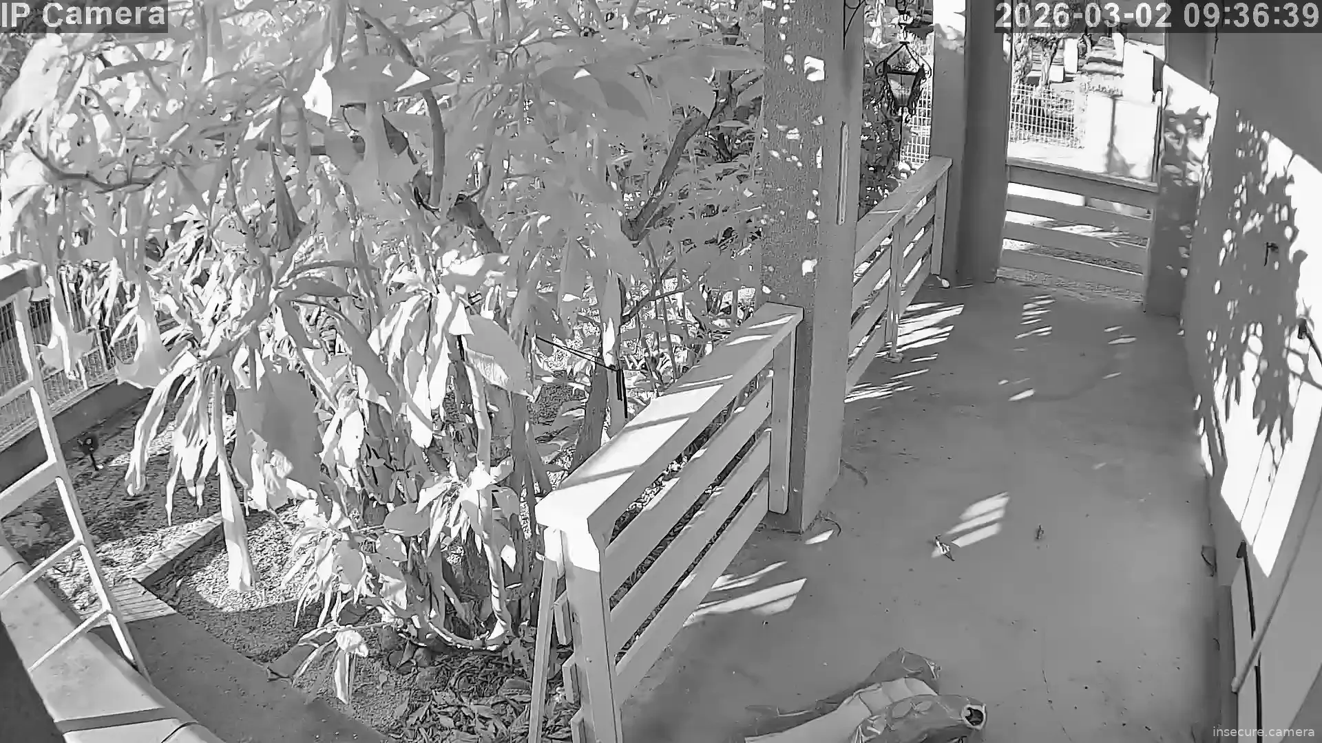 Capture from Mar 02, 2026 at 07:36 AM