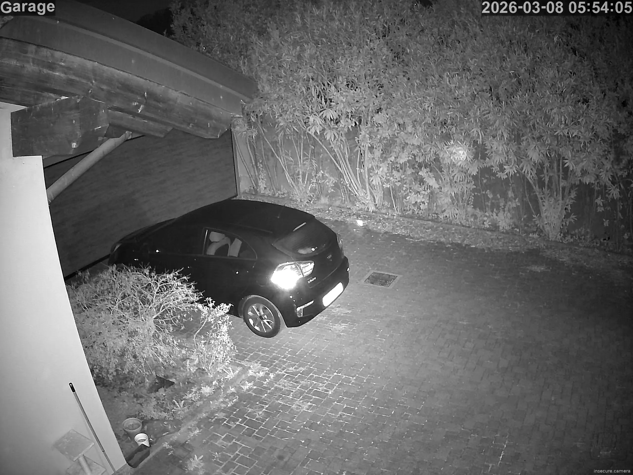 Capture from Mar 08, 2026 at 04:54 AM