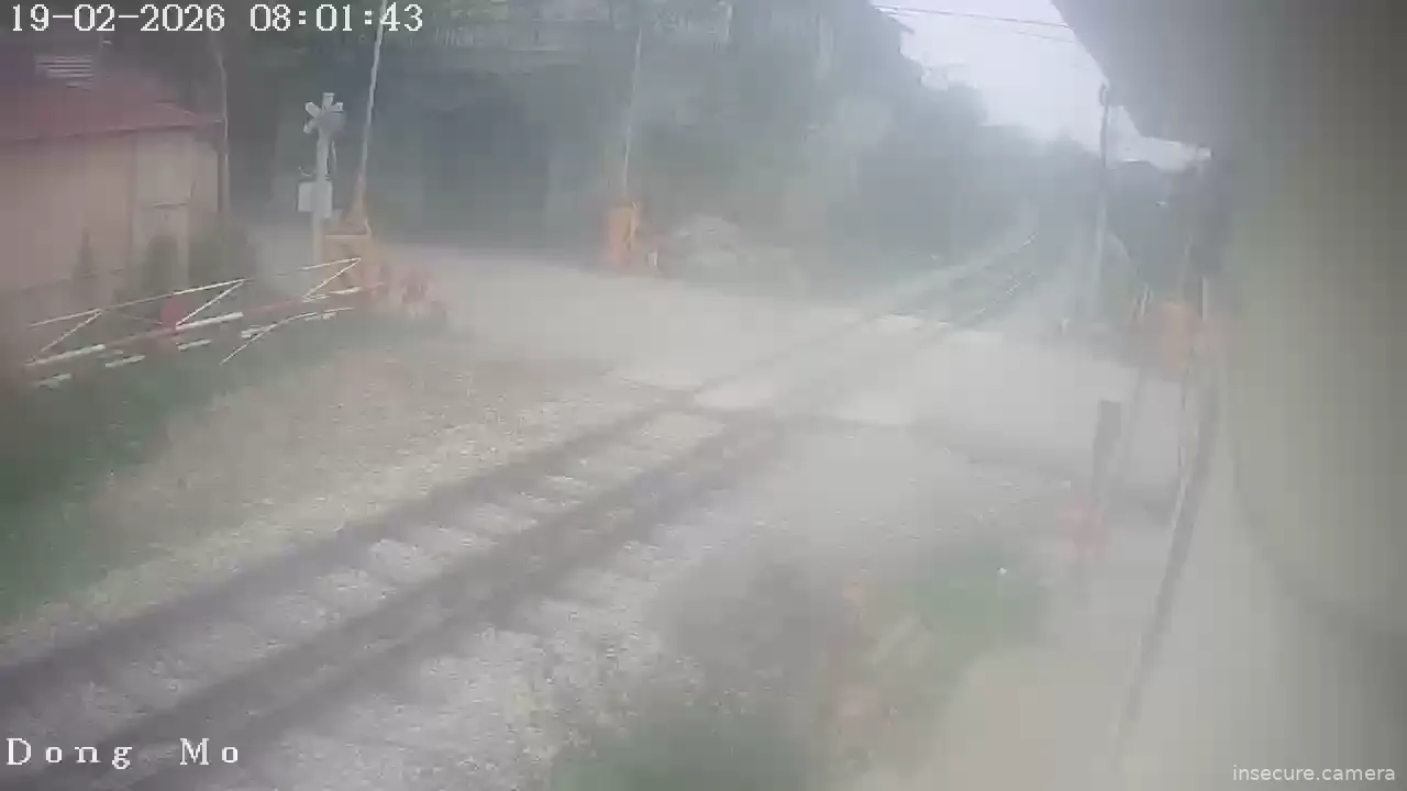 Capture from Feb 19, 2026 at 01:01 AM