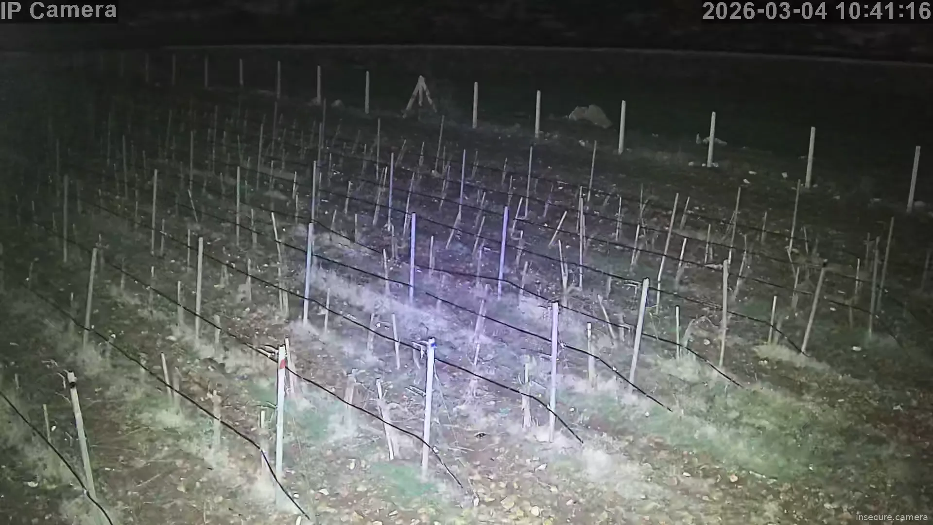 Capture from Mar 04, 2026 at 02:41 AM