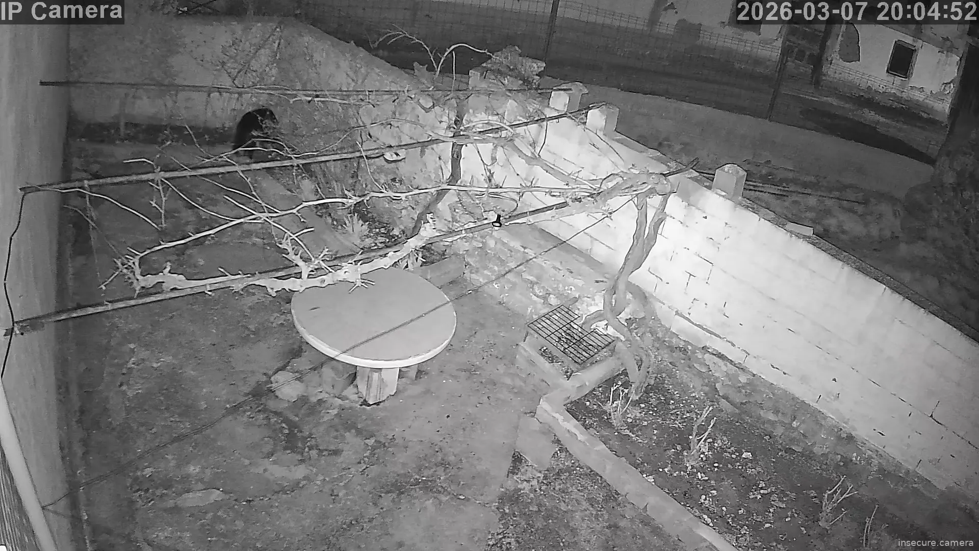 Capture from Mar 07, 2026 at 07:05 PM