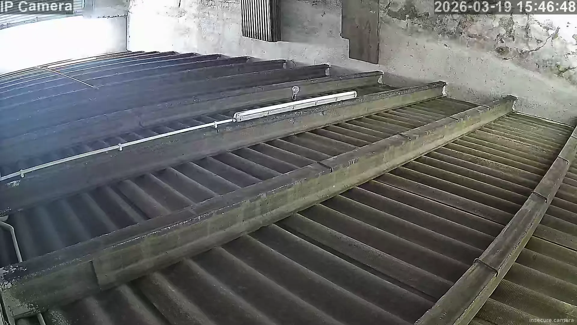 Capture from Mar 19, 2026 at 07:47 AM