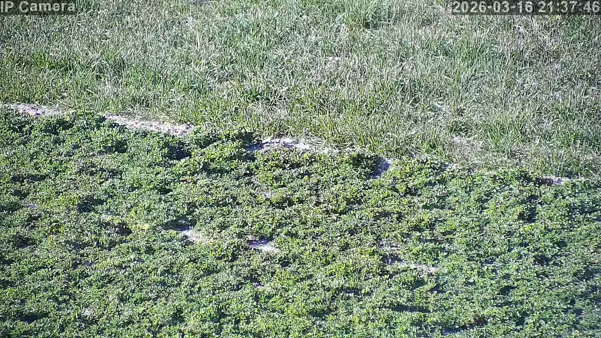 Capture from Mar 16, 2026 at 01:38 PM