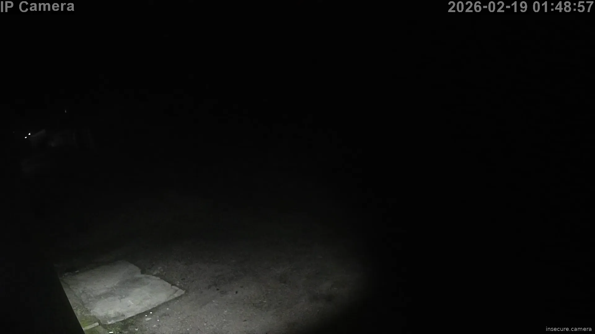 Capture from Feb 19, 2026 at 12:49 AM