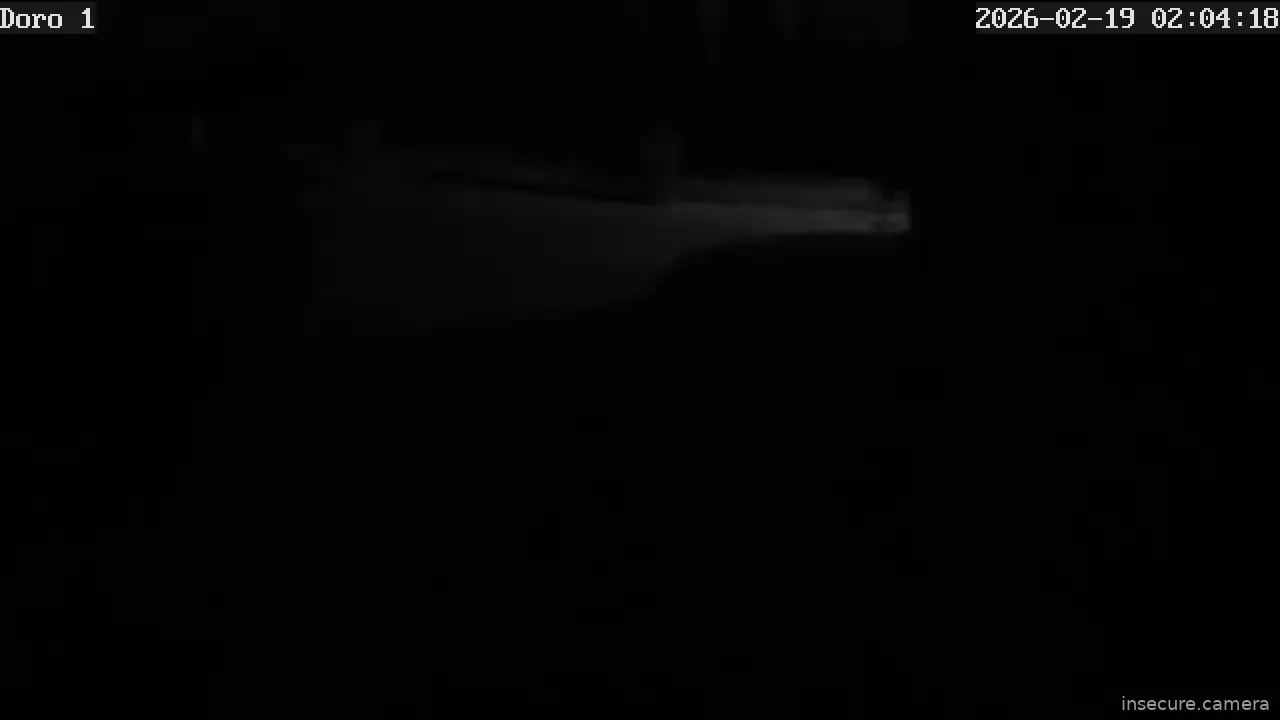 Capture from Feb 19, 2026 at 01:04 AM