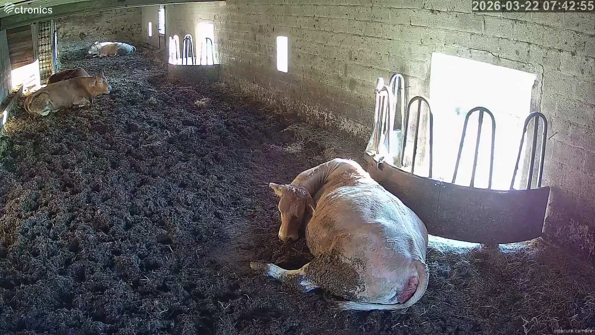 Capture from Mar 22, 2026 at 06:43 AM