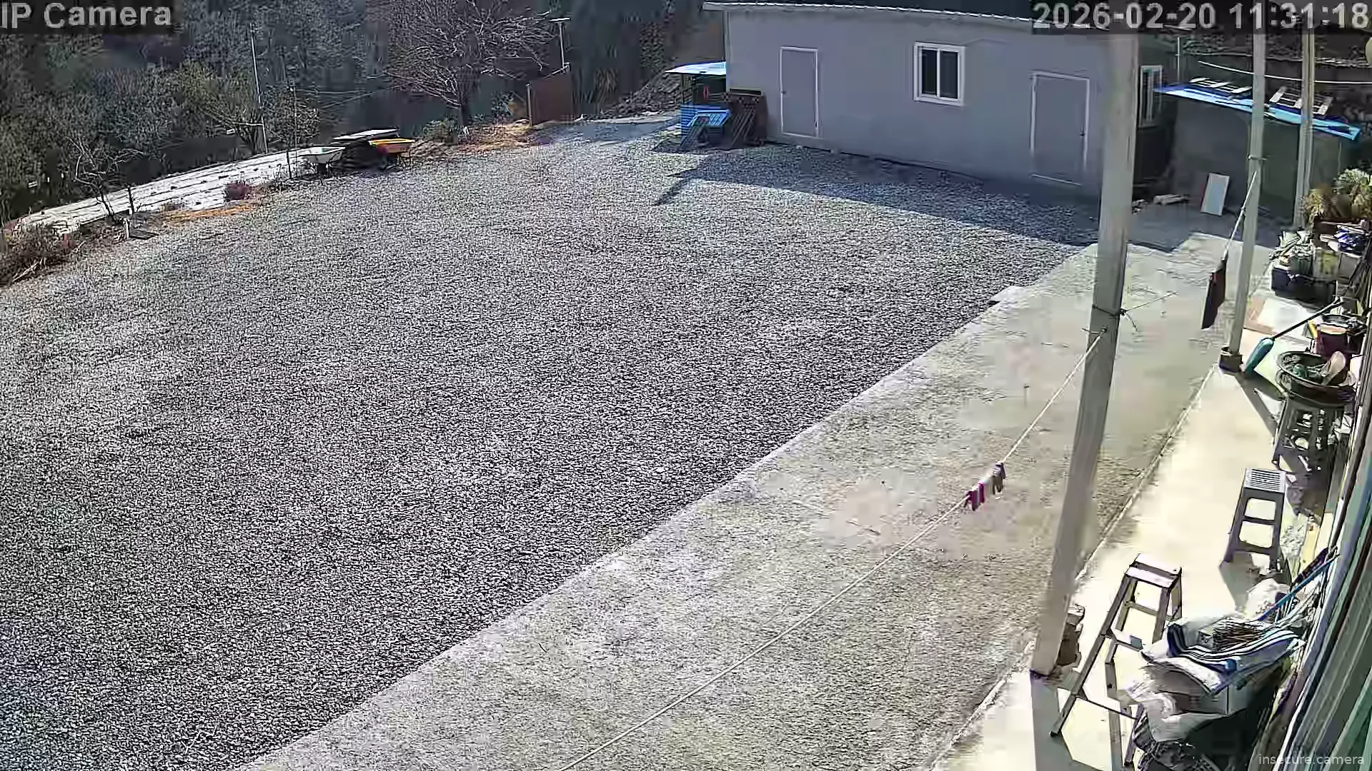 Capture from Feb 20, 2026 at 02:31 AM