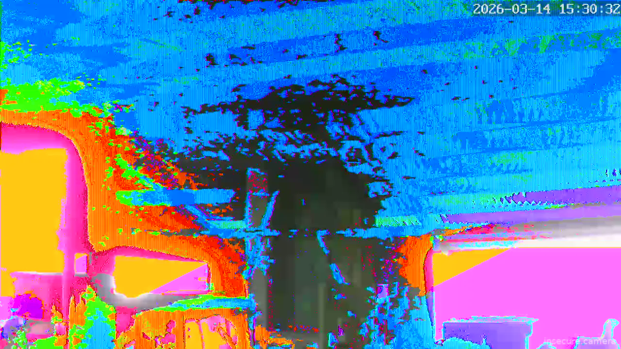 Camera in South Korea