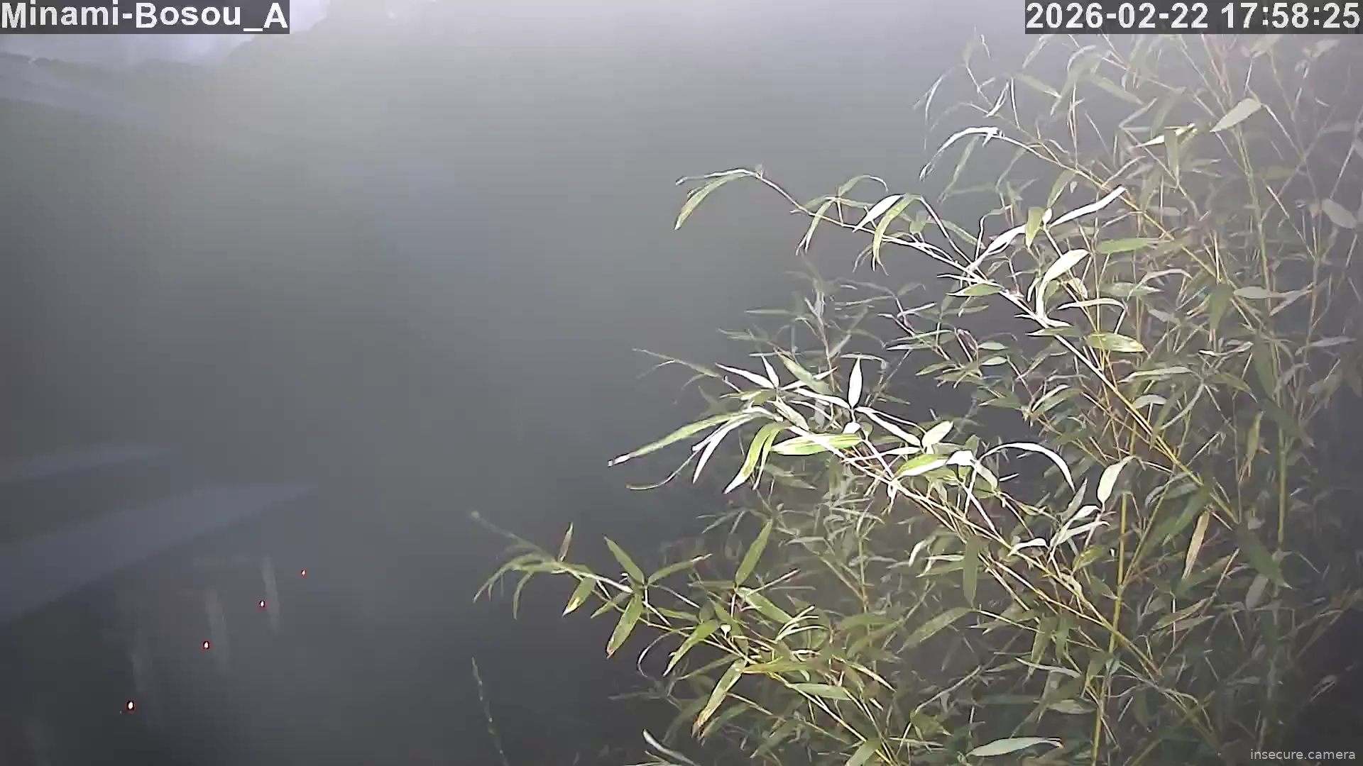 Capture from Feb 22, 2026 at 08:58 AM