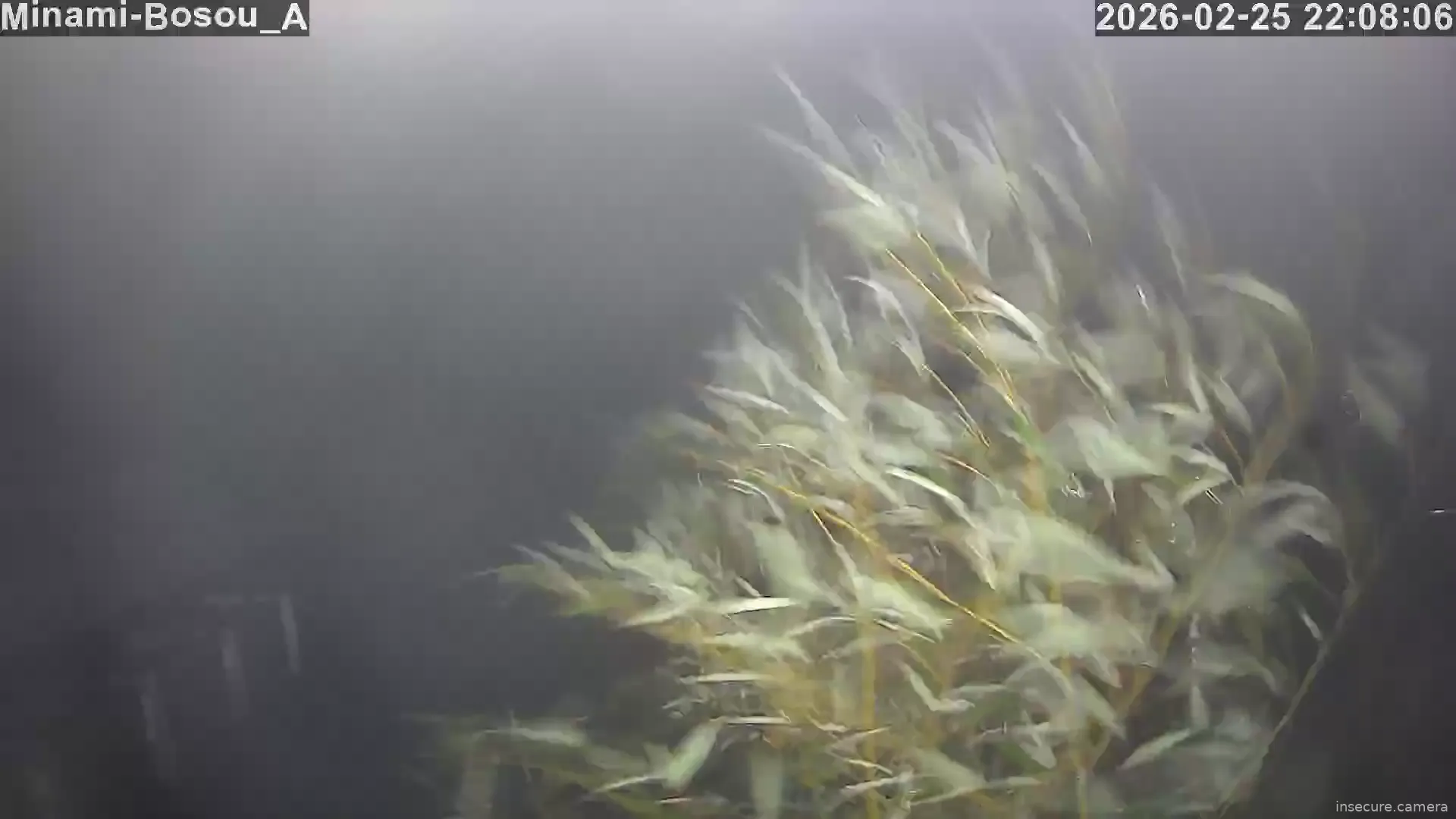 Capture from Feb 25, 2026 at 01:08 PM