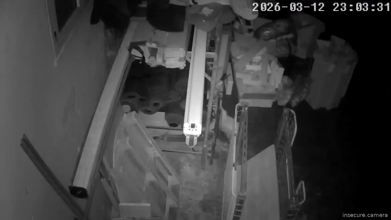 Capture from Mar 12, 2026 at 10:03 PM