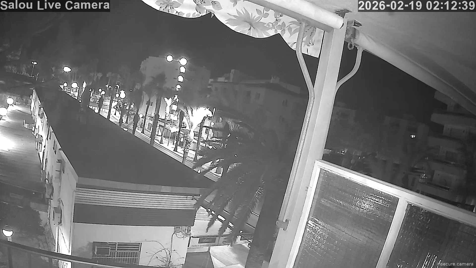 Capture from Feb 19, 2026 at 01:12 AM