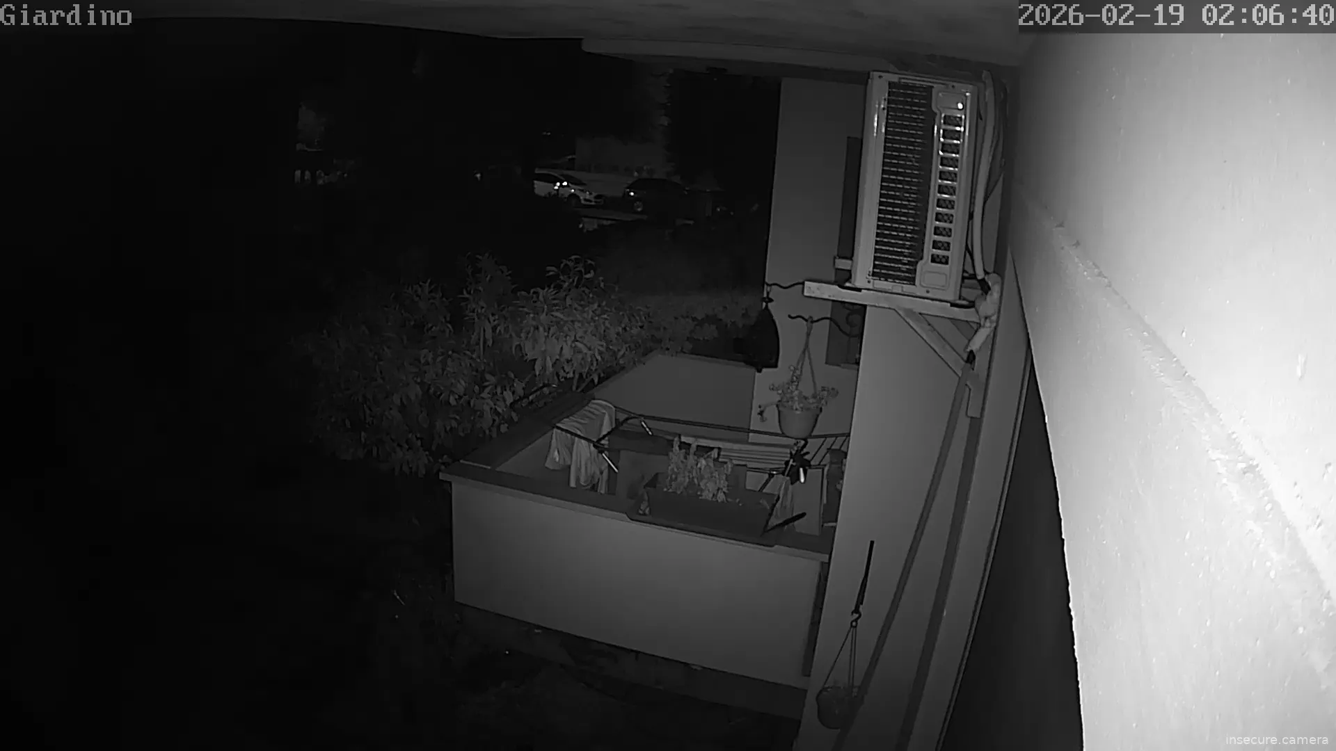 Capture from Feb 19, 2026 at 01:06 AM