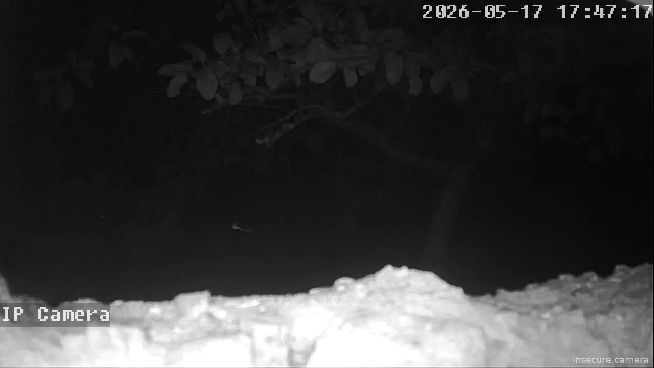 Capture from May 17, 2026 at 08:47 PM