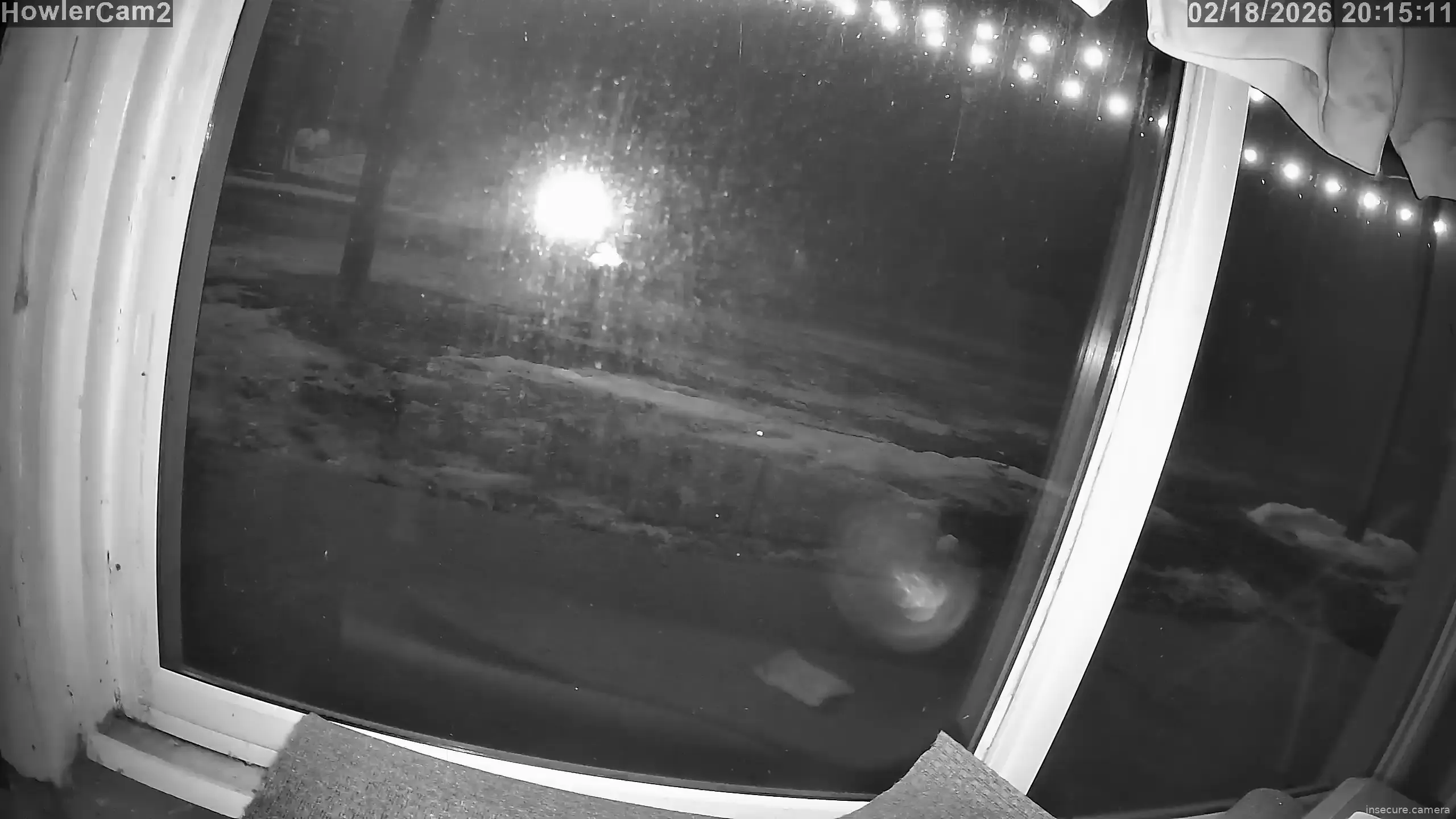 Capture from Feb 19, 2026 at 01:16 AM