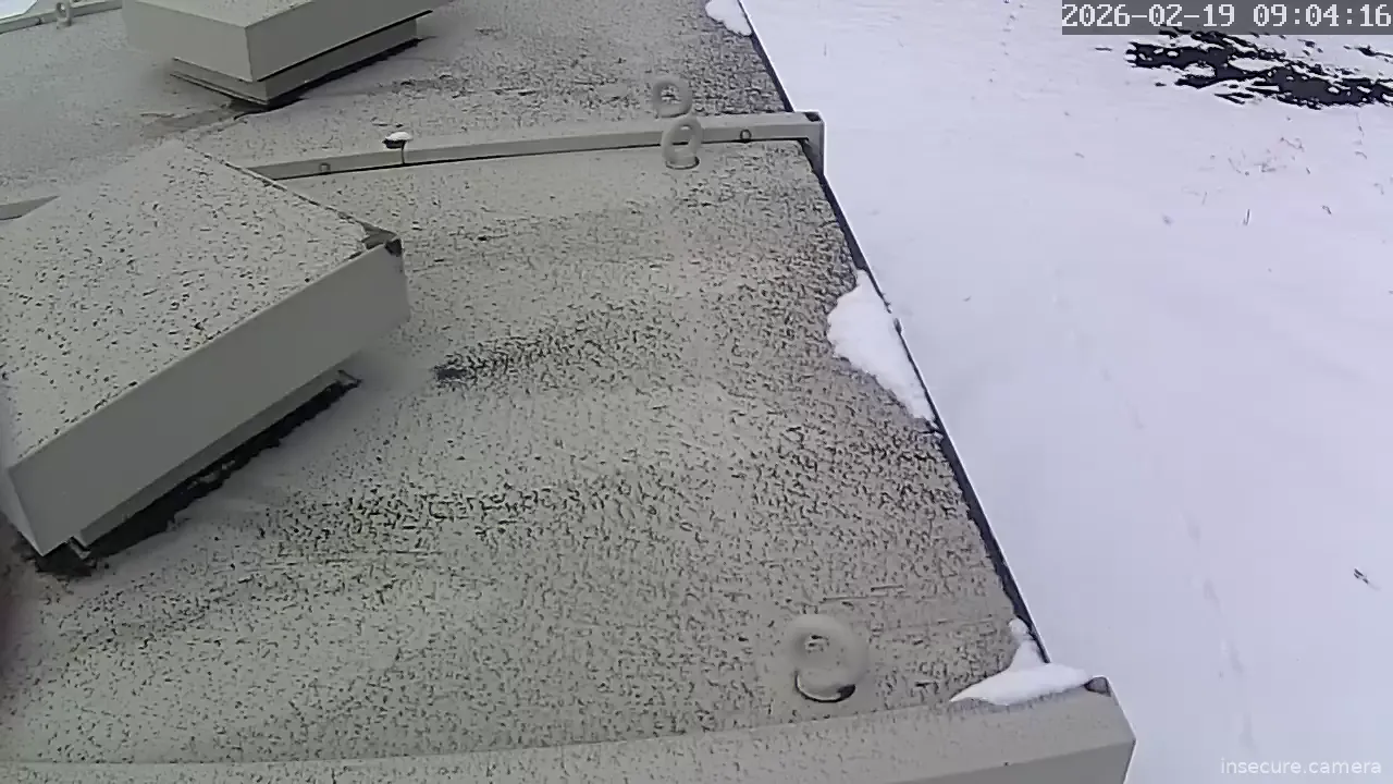 Capture from Feb 19, 2026 at 01:04 AM