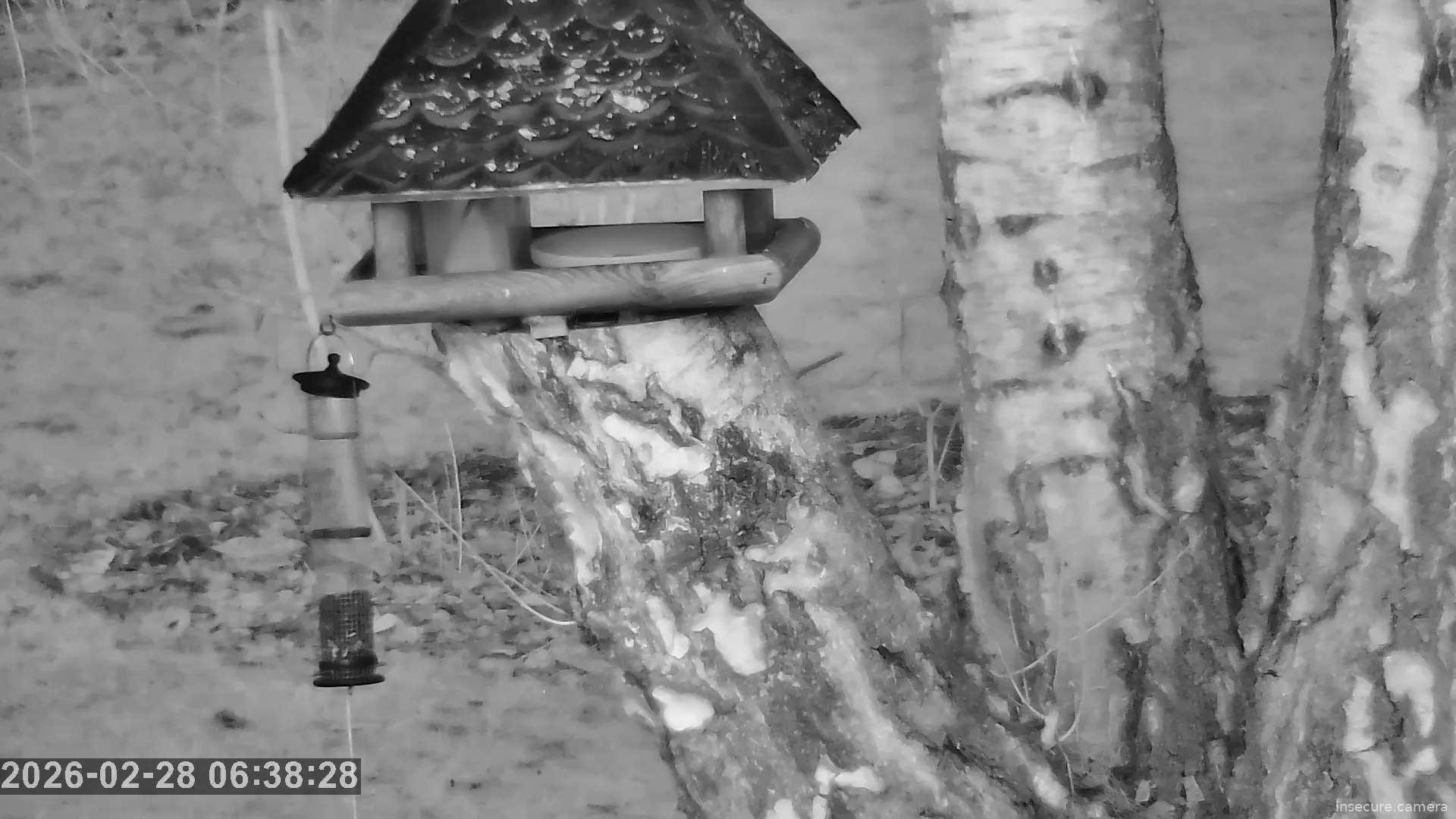 Capture from Feb 28, 2026 at 05:31 AM