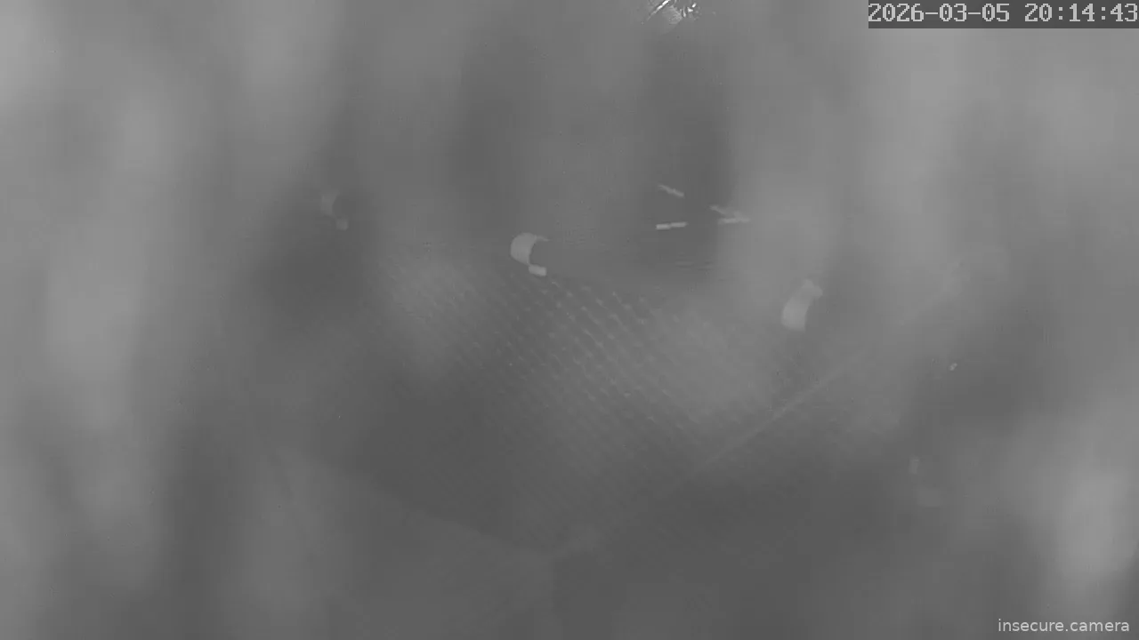 Capture from Mar 05, 2026 at 12:14 PM