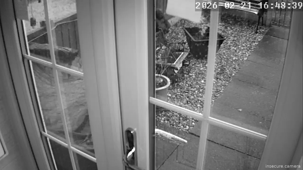 Capture from Feb 21, 2026 at 04:48 PM