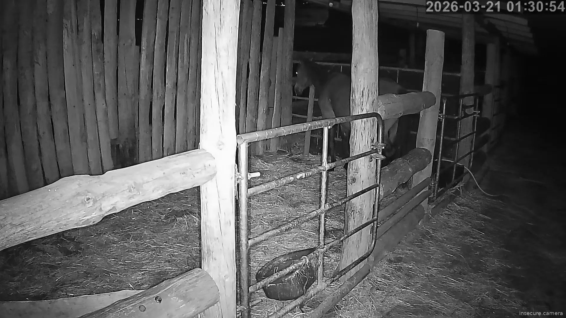 Capture from Mar 20, 2026 at 11:31 PM