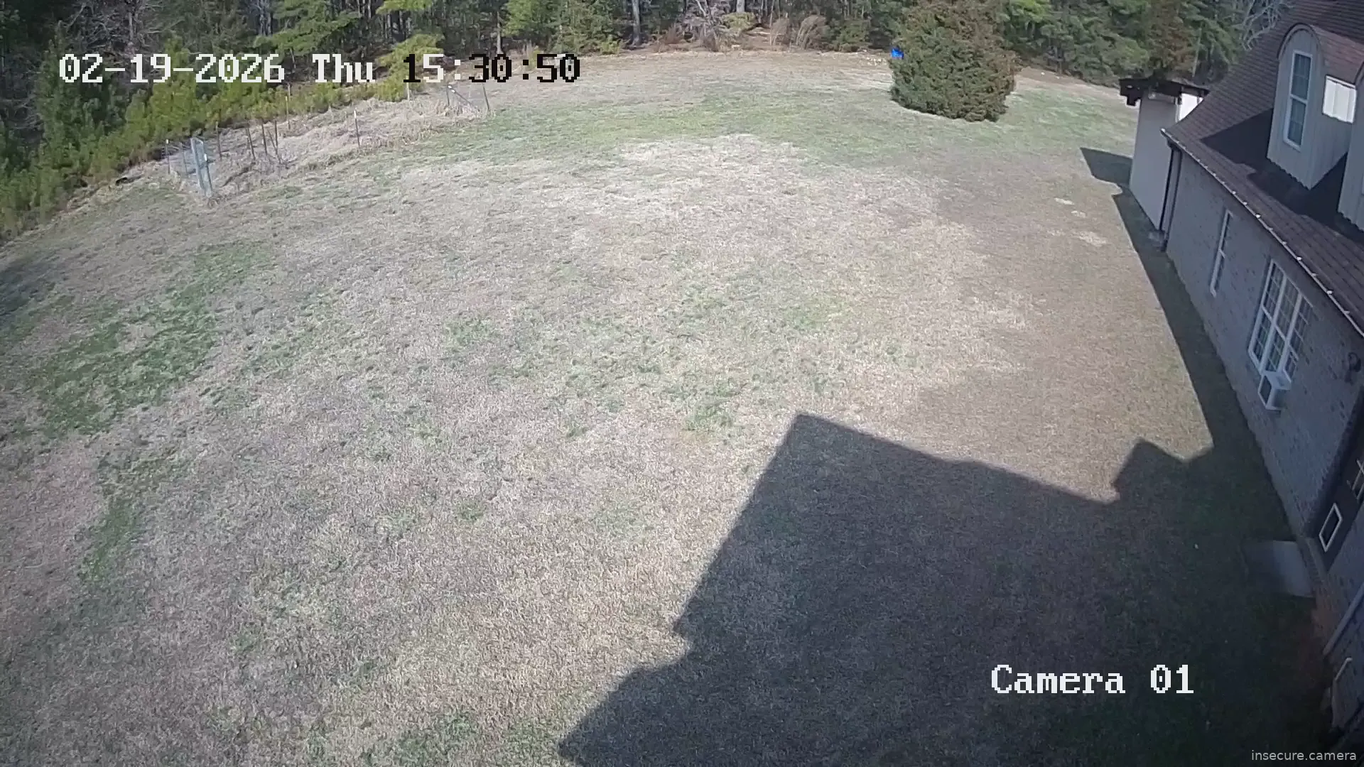 Capture from Feb 19, 2026 at 07:37 PM