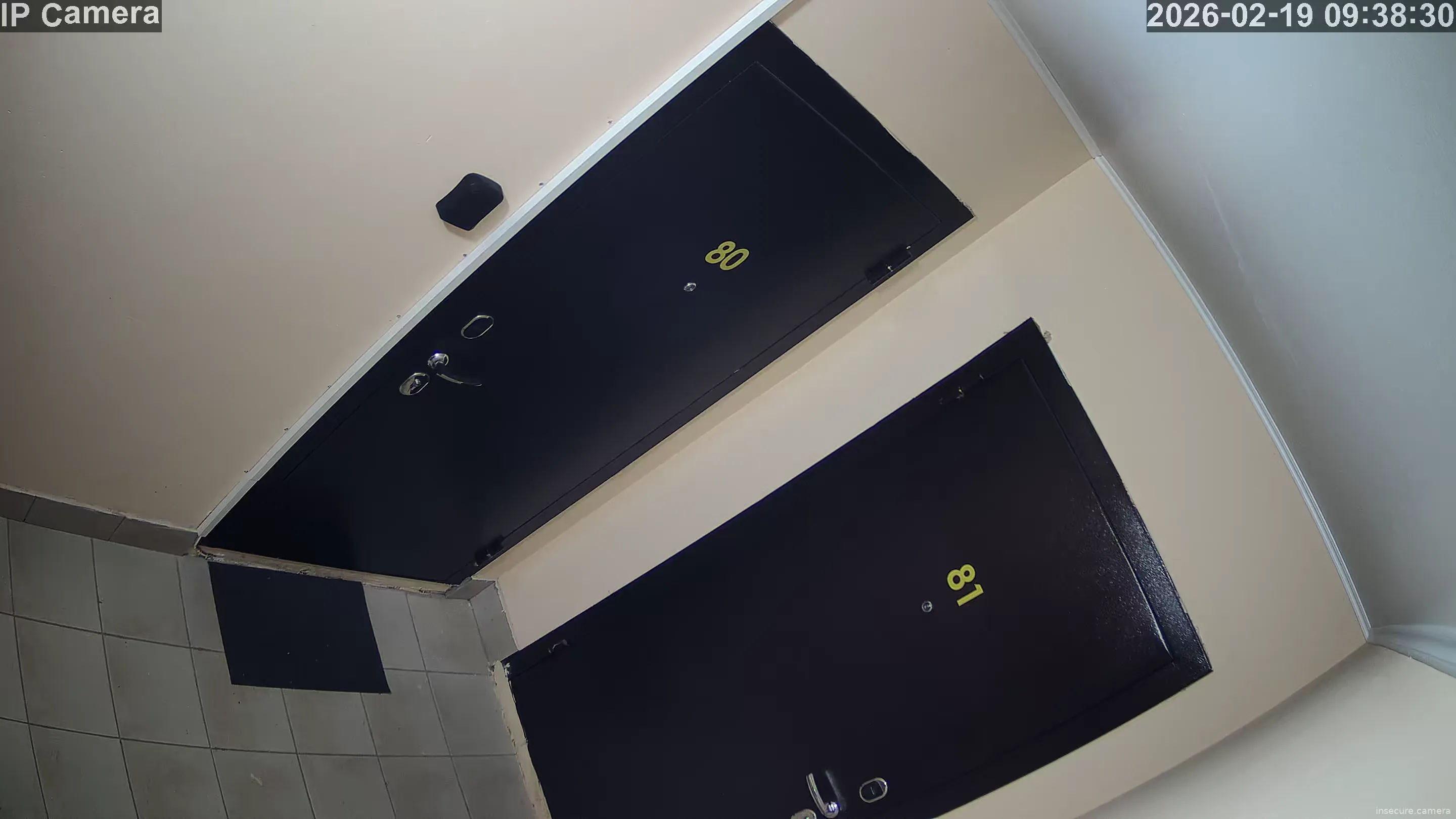 Capture from Feb 19, 2026 at 04:38 AM