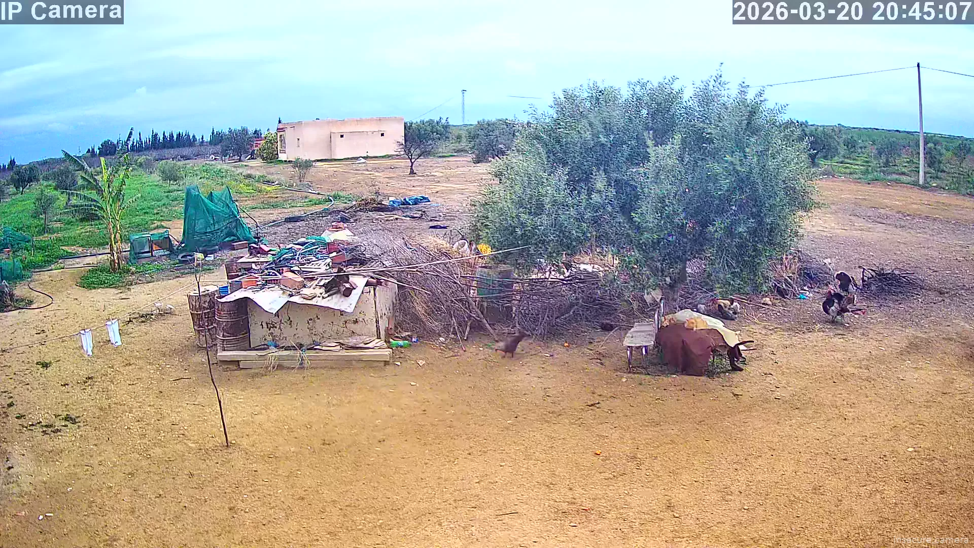 Capture from Mar 20, 2026 at 12:45 PM