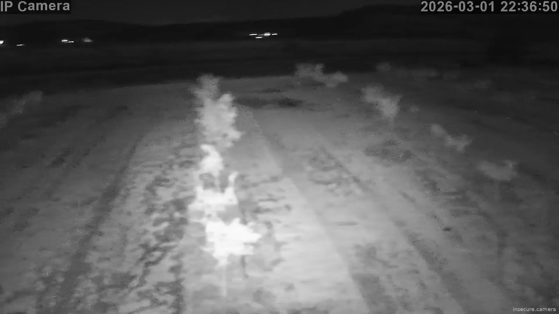 Capture from Mar 01, 2026 at 08:37 PM