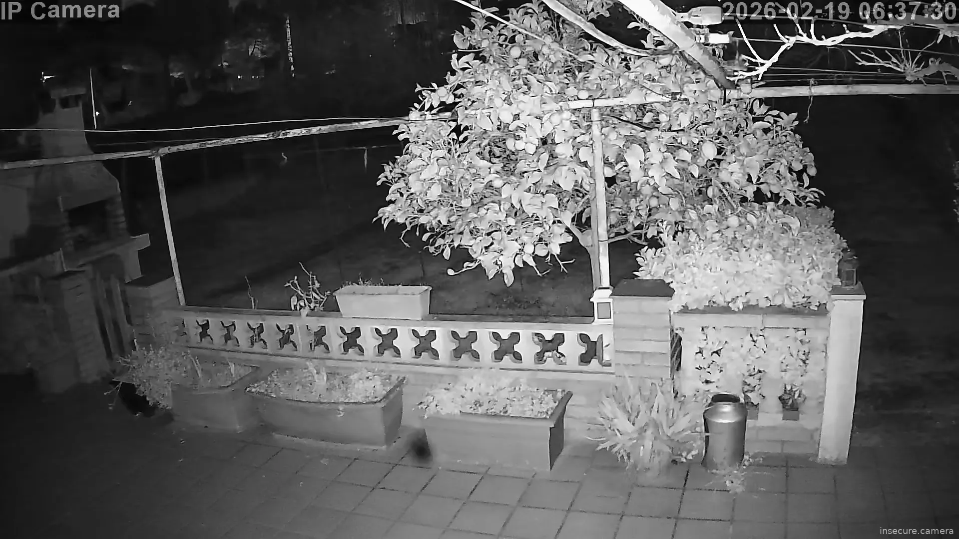 Capture from Feb 19, 2026 at 05:38 AM