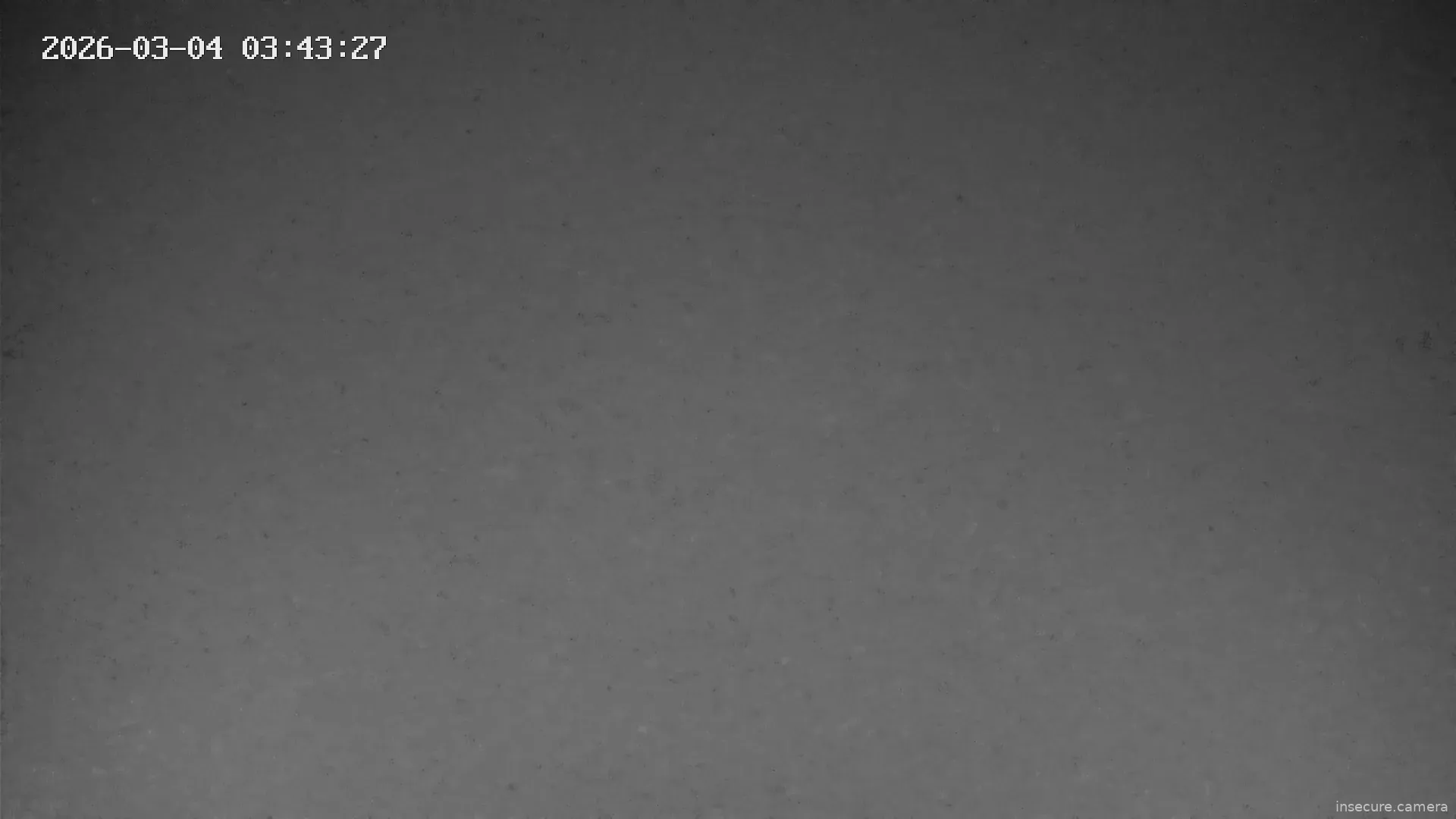 Capture from Mar 04, 2026 at 02:43 AM