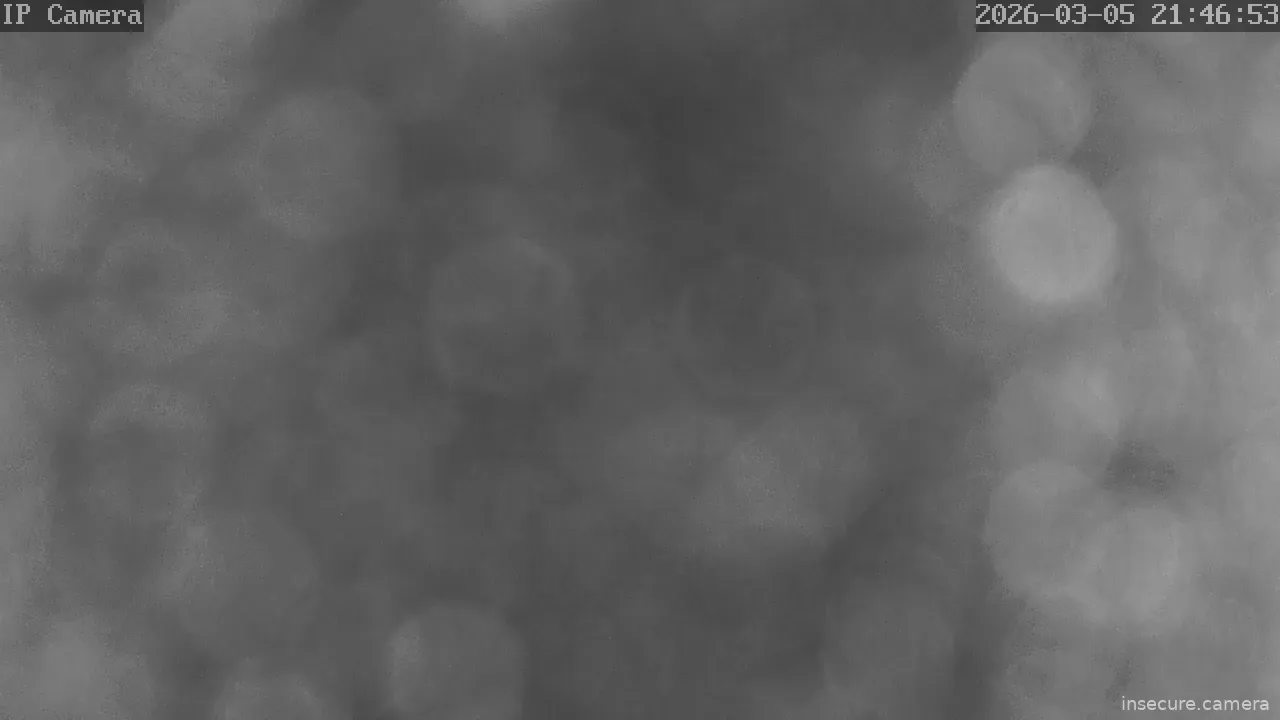 Capture from Mar 05, 2026 at 06:47 PM