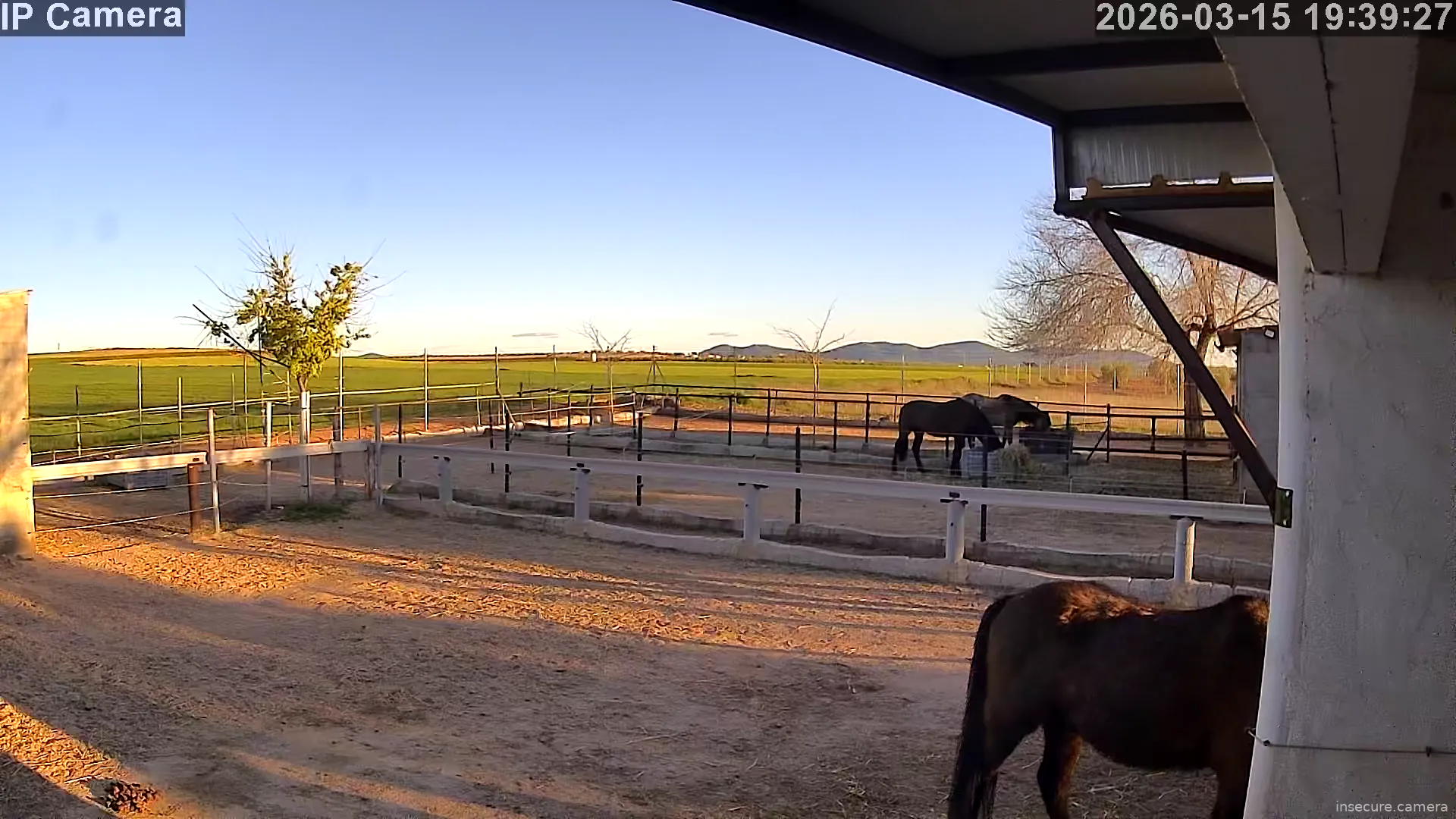 Capture from Mar 15, 2026 at 05:39 PM